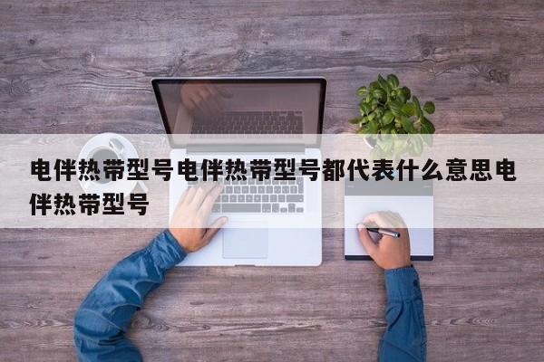电伴热带型号电伴热带型号都代表什么意思电伴热带型号
