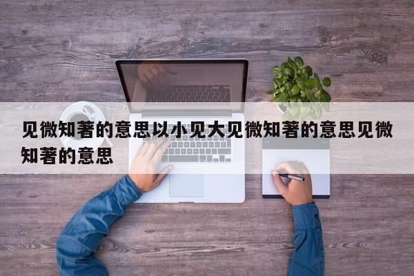 见微知著的意思以小见大见微知著的意思见微知著的意思