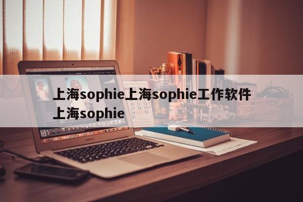 上海sophie上海sophie工作软件上海sophie