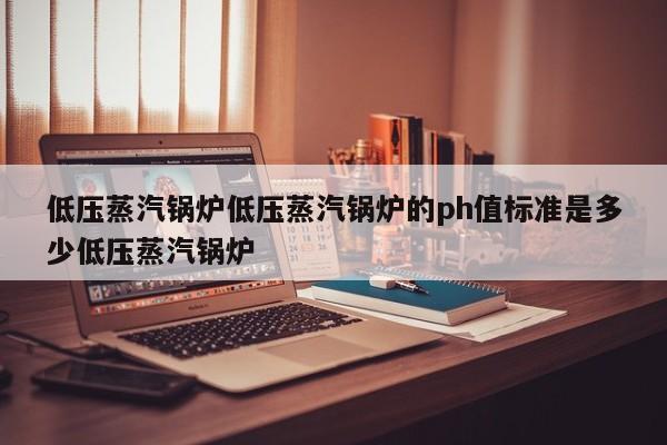 低压蒸汽锅炉低压蒸汽锅炉的ph值标准是多少低压蒸汽锅炉